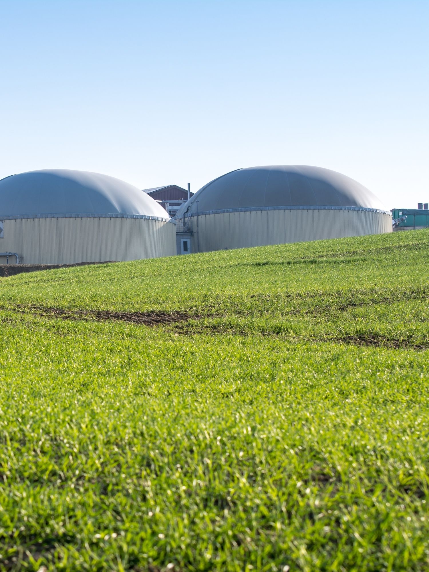biogas industrien